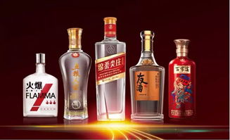 朋友圈再次扩大 时代汽车与五粮液系列酒公司达成战略合作共识，共拓跨界食品销售新路径